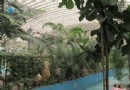 北京龍脈溫泉度假村養生旅游攻略