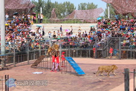 北京一小時旅游圈：北京野生動物園
