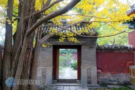 北京一小時旅游圈：北京香山公園