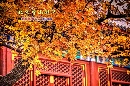 北京香山游記