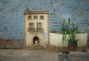 Cat House