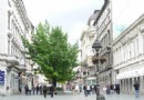 Knez Mihajlova