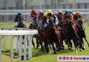 澳門賽馬會-澳門旅游攻略小知識