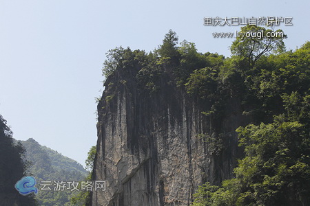 重慶大巴山國家級自然保護區