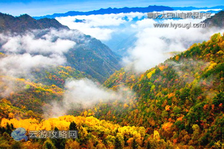 重慶大巴山國家級自然保護區