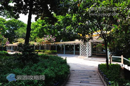 重慶枇杷山公園