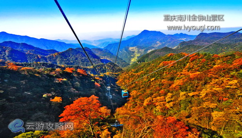 重慶南川金佛山景區