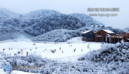 重慶南川金佛山景區