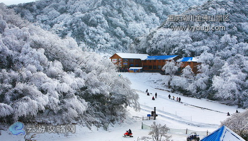 重慶南川金佛山景區