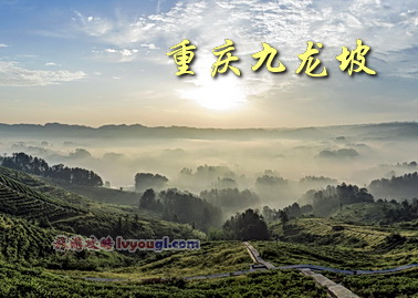 重慶九龍坡景點圖片