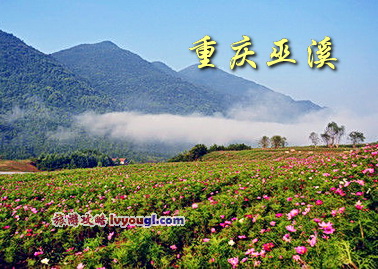 重慶巫溪景點圖片