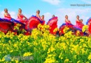 上海花米莊行農家樂旅游攻略