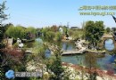 上海的5個古村落 上海市郊鄉村旅游攻略