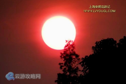 崇明島東平國家森林公園