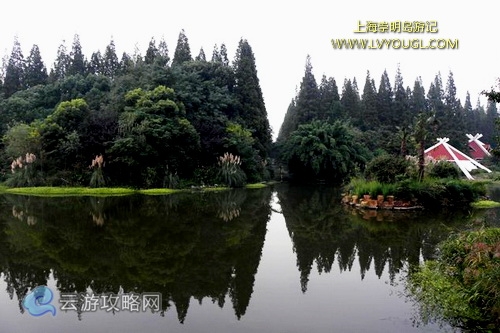 崇明島東平國家森林公園