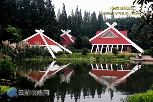 崇明島東平國家森林公園