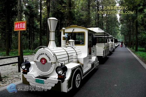 崇明島東平國家森林公園