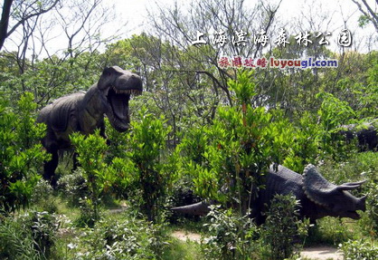 上海濱海森林公園