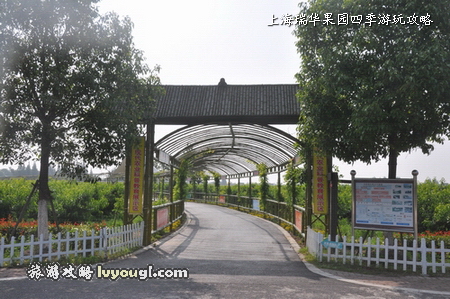 圖：上海瑞華果園科普教育基地