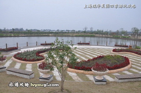 上海瑞華果園—養身垂釣區
