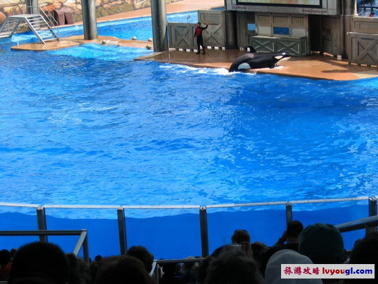 上海海洋水族館