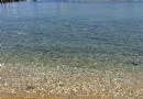 埃利亞白海灘
