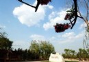 北京郊野公園自助攻略大集合