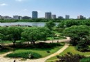 北京綠色生活地圖