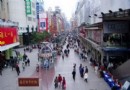 上海城區風光旅游