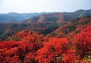 帝都秋色——北京賞紅葉好去處