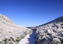 【元旦旅游】重慶周邊最風花”雪“月之旅