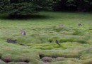 火地島國家公園