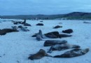 Darwin & Wolf Islands