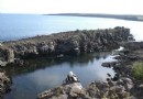 Darwin Bay