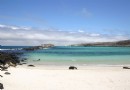 海龜灣海灘Galapagos Beach (Tortuga Bay)