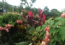 Manuel Antonio National Park