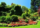 布查德花園