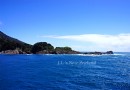 米爾福德峽灣