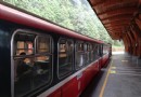 深入東台灣 踏浪賞鯨泡冷泉