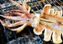 烤鱿魚