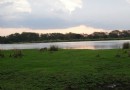 Liwonde National Park