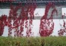 密雲時光公園