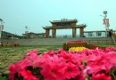 天開花海