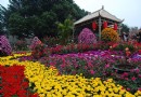 大興世界月季主題園