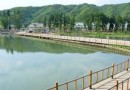 向日葵燒烤莊園
