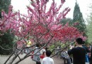 密雲奧林匹克公園