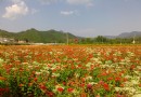 水泉溝