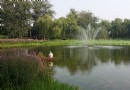 绮春園