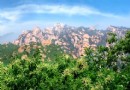 鱗龍山