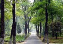 順鑫綠色度假村